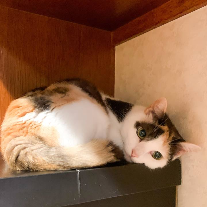 D6104cb4 f7eb 434c 9490 b405b416c2e8 1590975411666