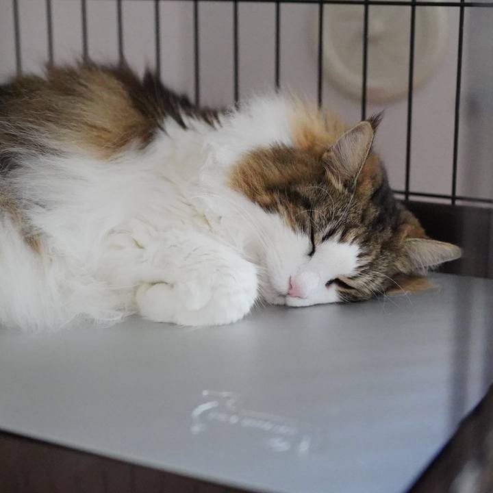 D6105ad0 6c53 48b7 a222 047a7f72b993 1693622504994