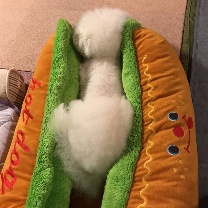 D6106218 fedf 405a 91af 9ce37c6c5966 1537794948514