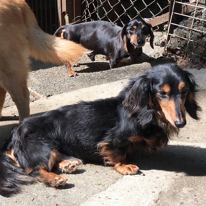 D6108815 5e57 40be 9722 7e7b77e79001 1557545560648