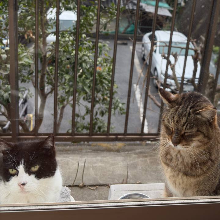 D610afc9 48ac 4c3f b4df 74ba79abdf81 1773983690944