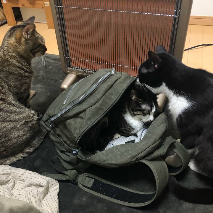 D610b019 d079 4933 b41f f4fa2e6fe40f 1548298334036