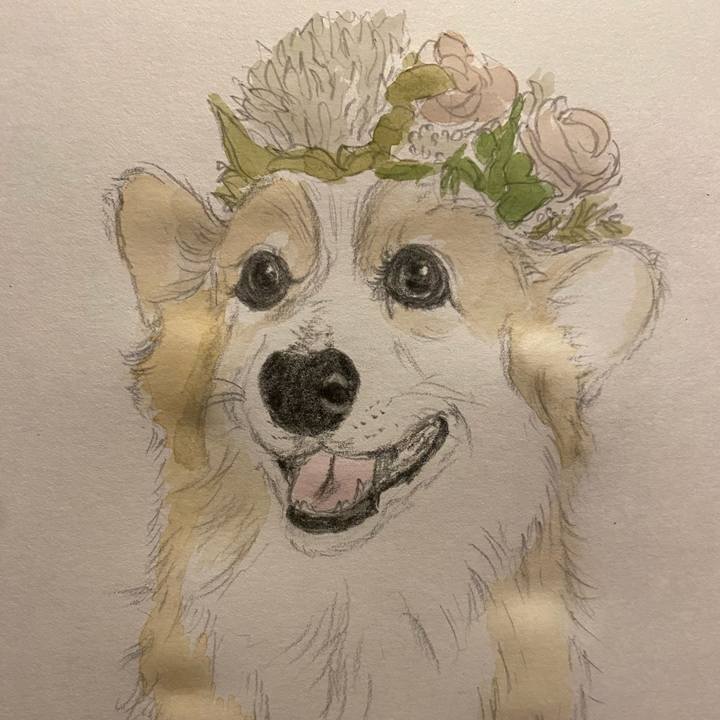 D610e55d 54a2 493f 9afd 45443d1fcdb4 1661613028162