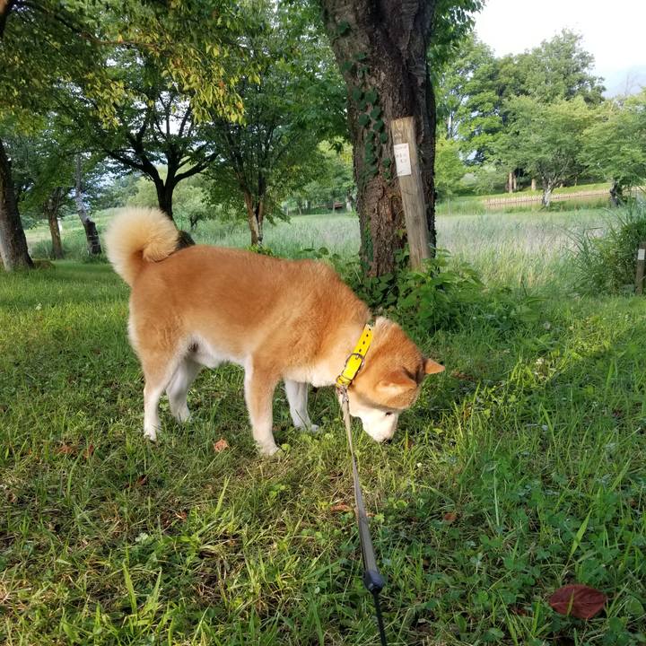 D6111885 f48c 4c68 a6d5 b0a012484ec6 1691225226092