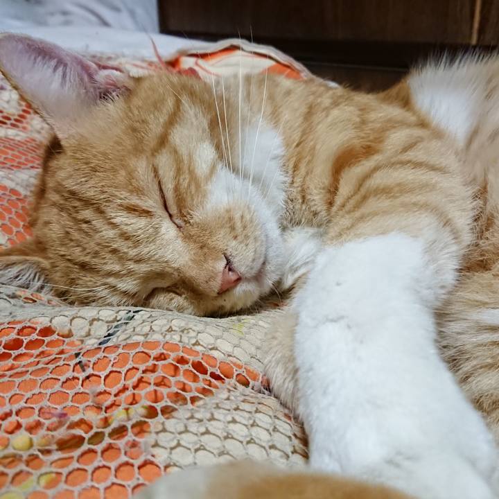 D6114153 ce02 45c9 ad08 e449b62db714 1570974577082