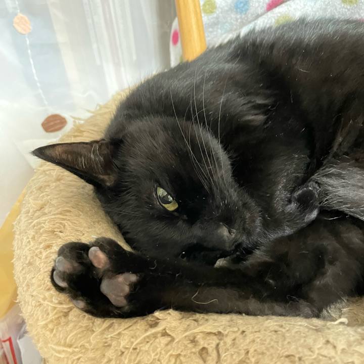 D611416b 3751 4416 ba70 386b4f8fe7aa 1766925355678