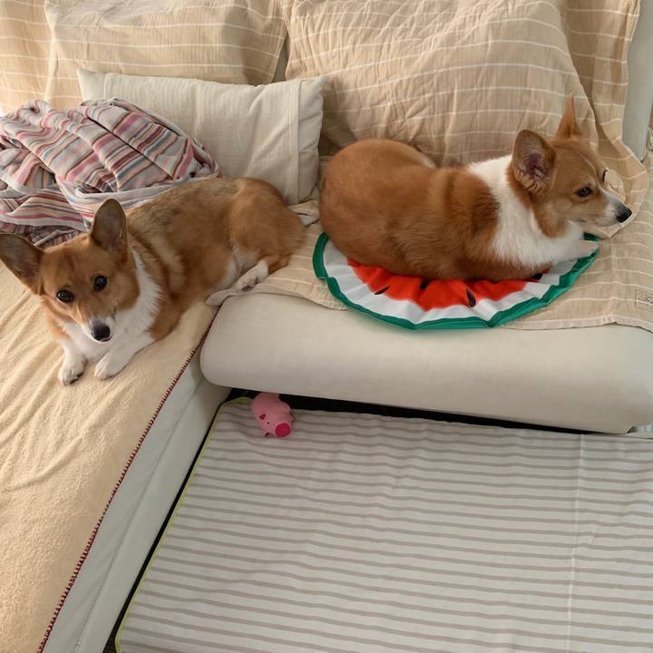 D611aad0 4ba1 427f 974f 7b815ae8d4d7 1566107558377