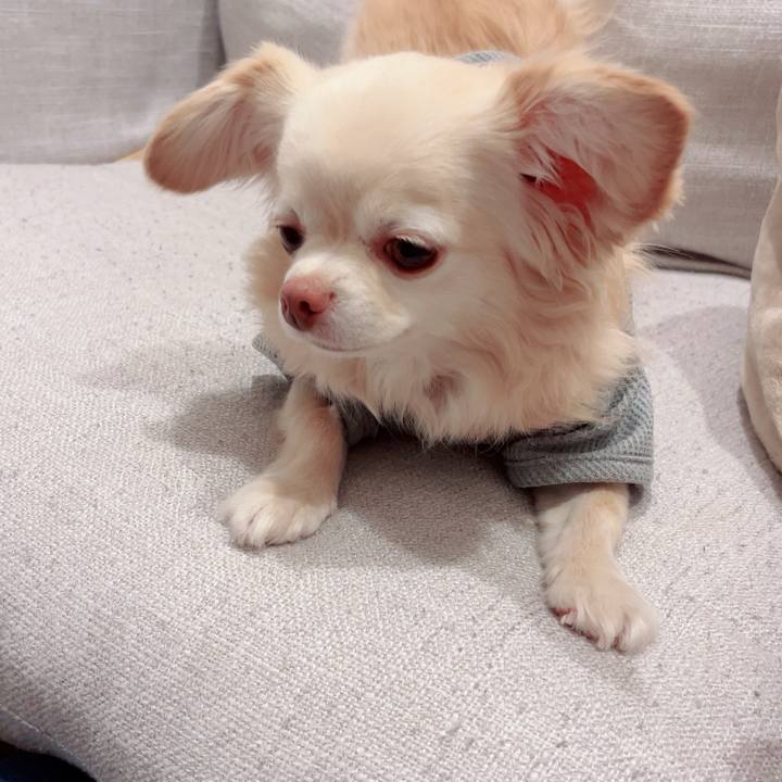 D611df61 0559 43dd ae7a ab4999d3c2f0 1746343723483