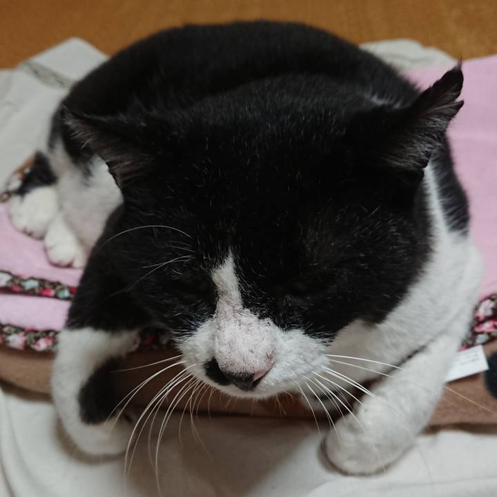 D611ea08 3ee4 4385 99d5 88f381112171 1601080797396