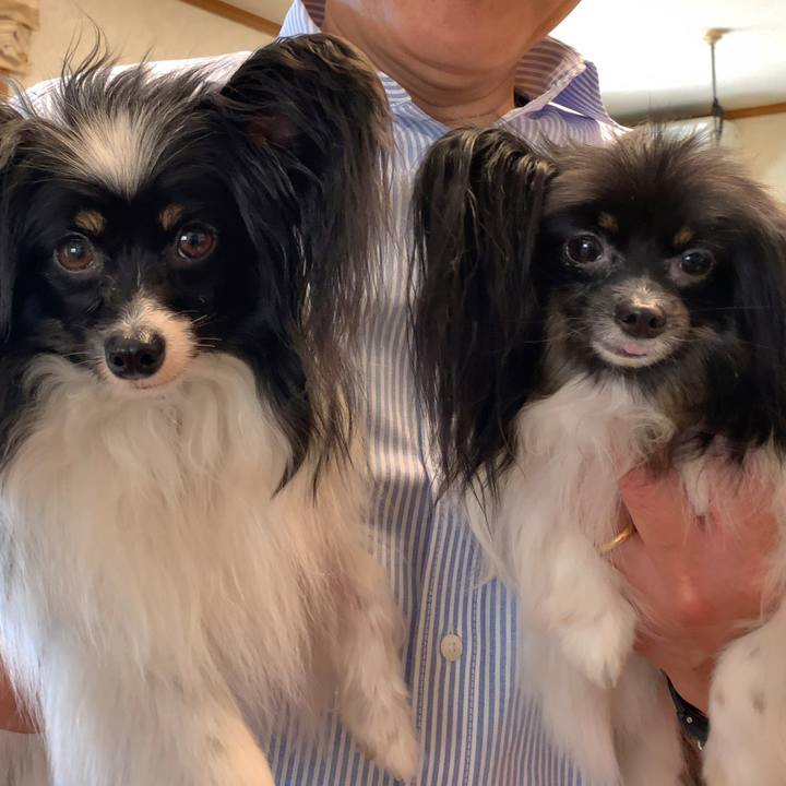 D611ef6f 526c 4189 a882 ad3b353bf5c4 1560672008008