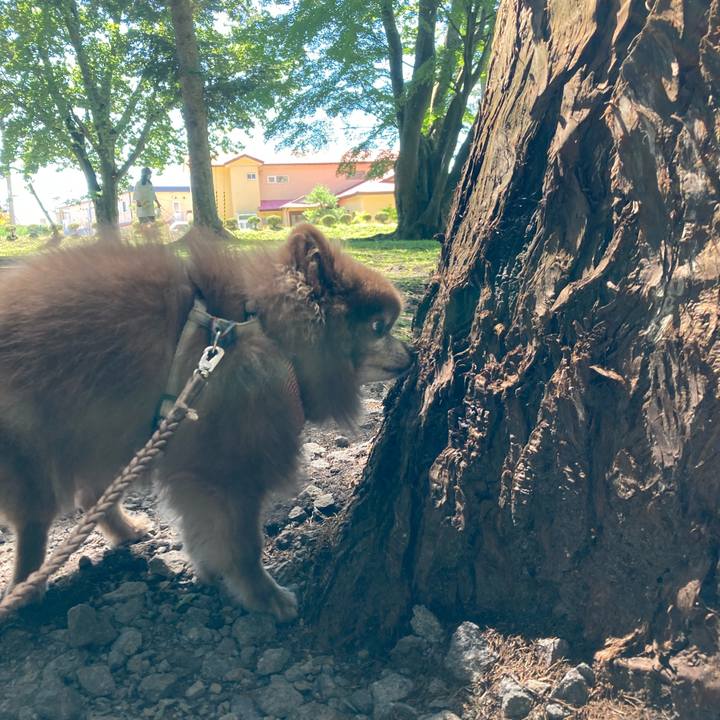 D6120045 2181 4262 bff8 a4b8eee28c0a 1661402085277