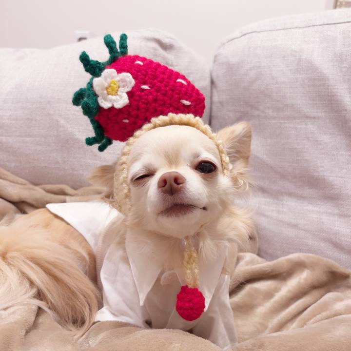 D6120cbd 9466 41ad a253 9fa1634d9d84 1743937146996