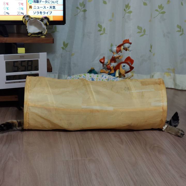 D6121165 3336 4173 a5a2 877cf59004c0 1639688323218