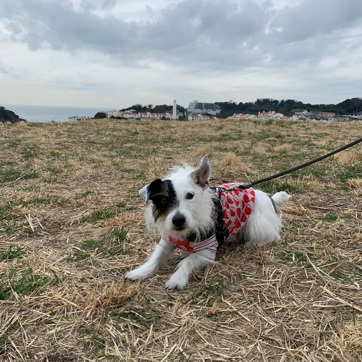 D6122d81 0b80 4b38 a5bb 44e359e96b69 1677201296268