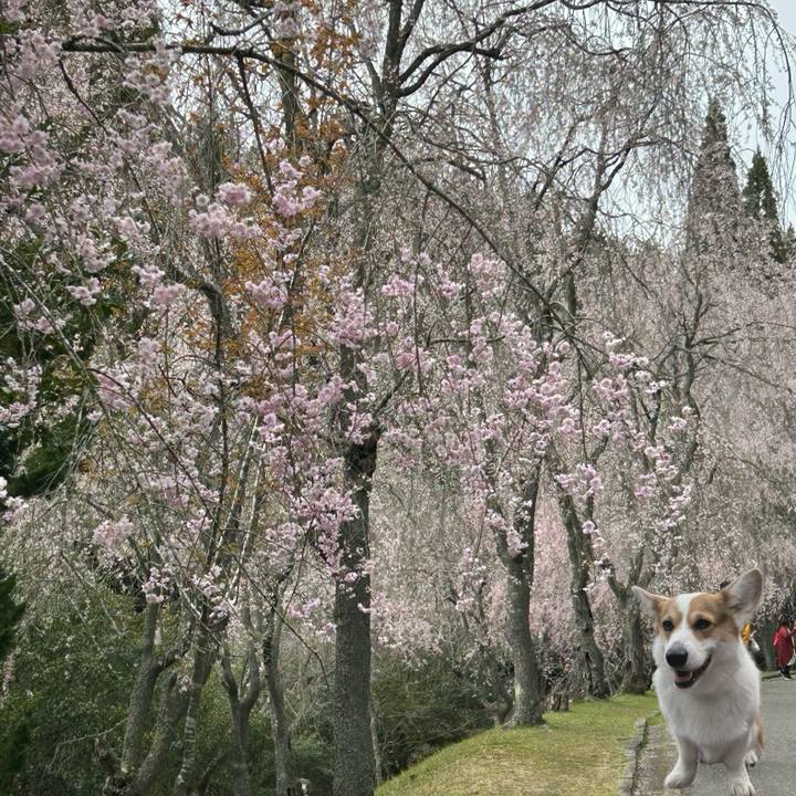 D61259ca b36b 4fee 986b 89c6feb6f79d 1776128030455