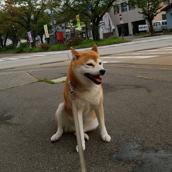 D6127709 f2b7 4bd8 bc99 d4e891560da3 1537776930432