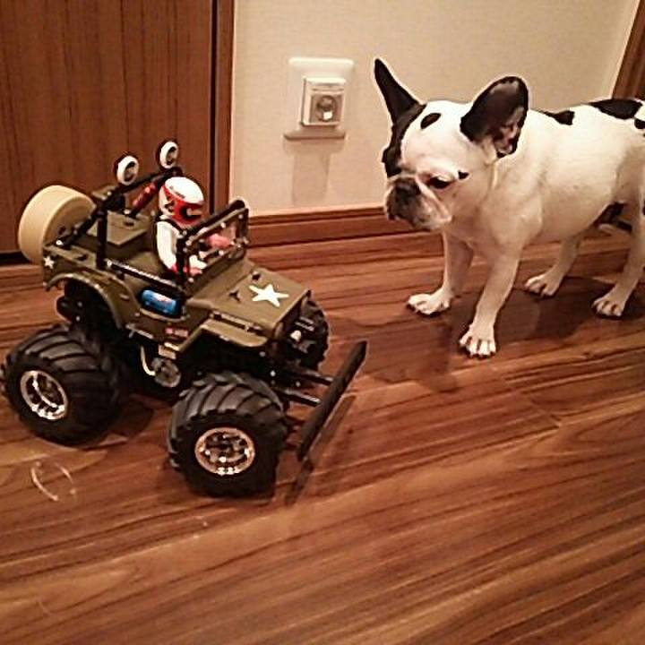 D6127db5 a31d 4faa a301 5ba90812529d 1526213285976