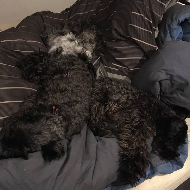 D612a7f4 a1b3 4911 94d4 3ec04e758bd4 1578751195198