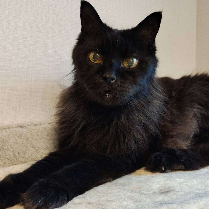 D612ba78 5dc9 4f68 9576 01a0a11e712b 1764638639866