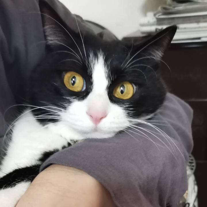 D6132ec9 d6ad 4d75 9ca5 ee5500e32fdb 1610462313821