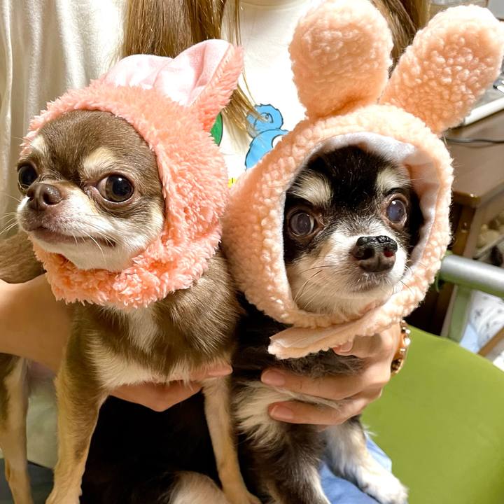 D6136382 0228 404e 9469 e4225d0d65fc 1706264973356