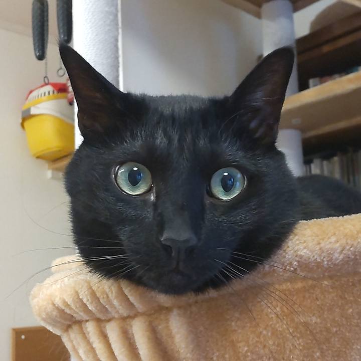 D61384fa 18b6 4074 89a3 600ff1b19c8d 1619341805353