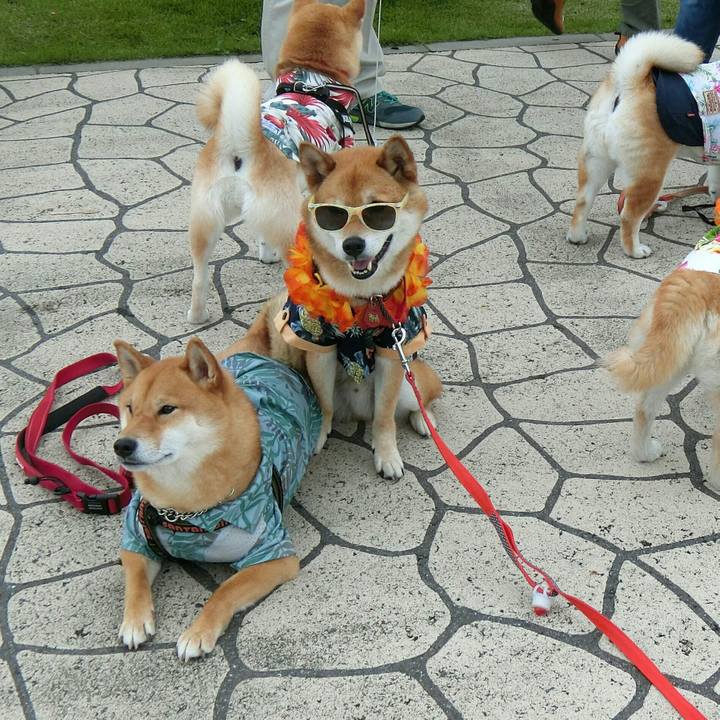 D61389e5 711d 4276 80fc 75ce8cf4c477 1563197162488