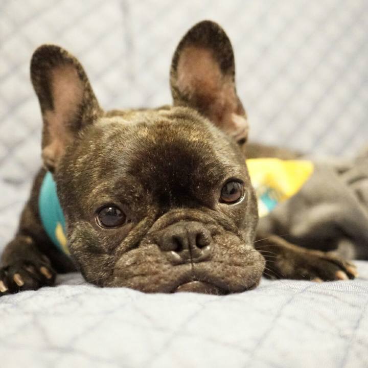 D613af27 126c 4d8f 9f77 de1f701da3fc 1535111464795