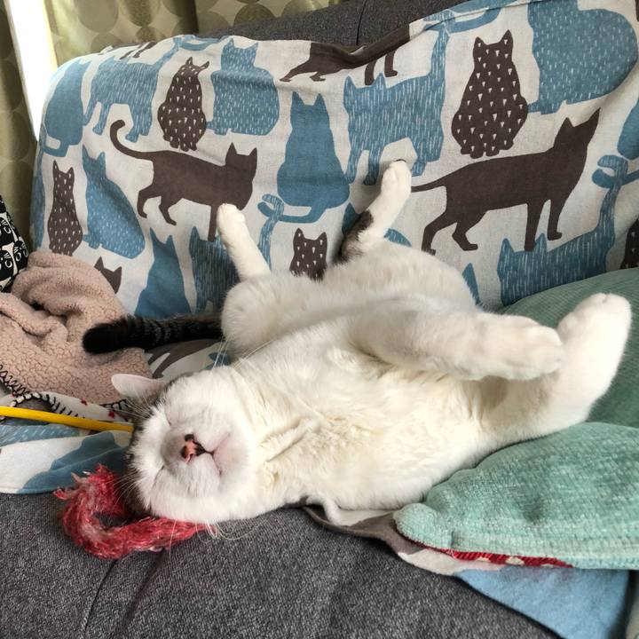 D6141de8 7b7a 4caa ba5e 53653ba97b7b 1630132664918