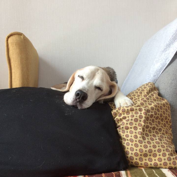 D6141e2e a353 4481 bb03 1d5e4a86fd8a 1623646715116