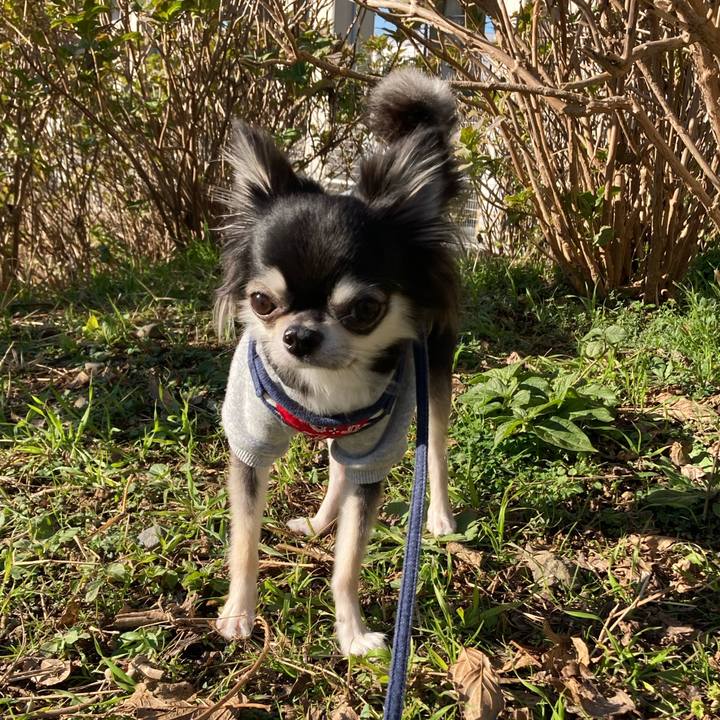 D61451c1 a1e5 4cf6 bf5a 497414f6f49f 1638590427269