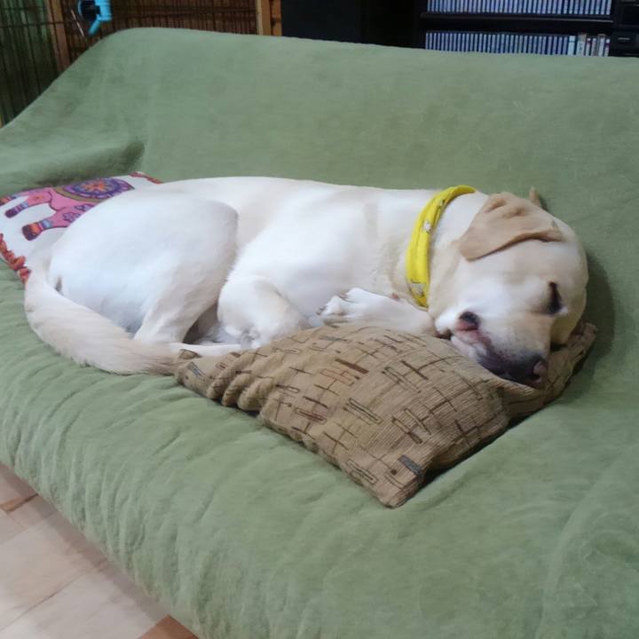 D614bfc0 0392 400f 86cc 0e0b600c8fc4 1511948044206