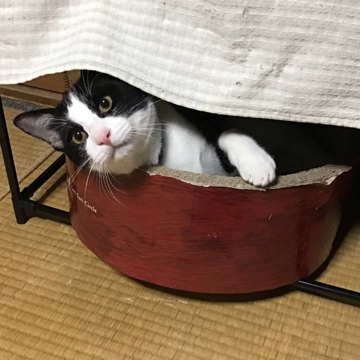 D614e9dd 552e 4cde 9e09 c61522b8be35 1636109430879