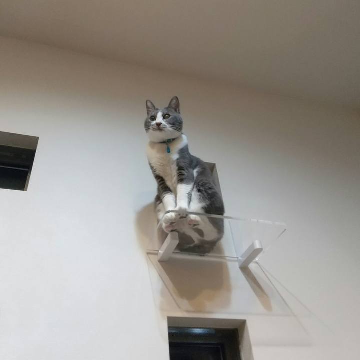 D6151fed 6d30 455e b8da 0e052c240d35 1641555662103