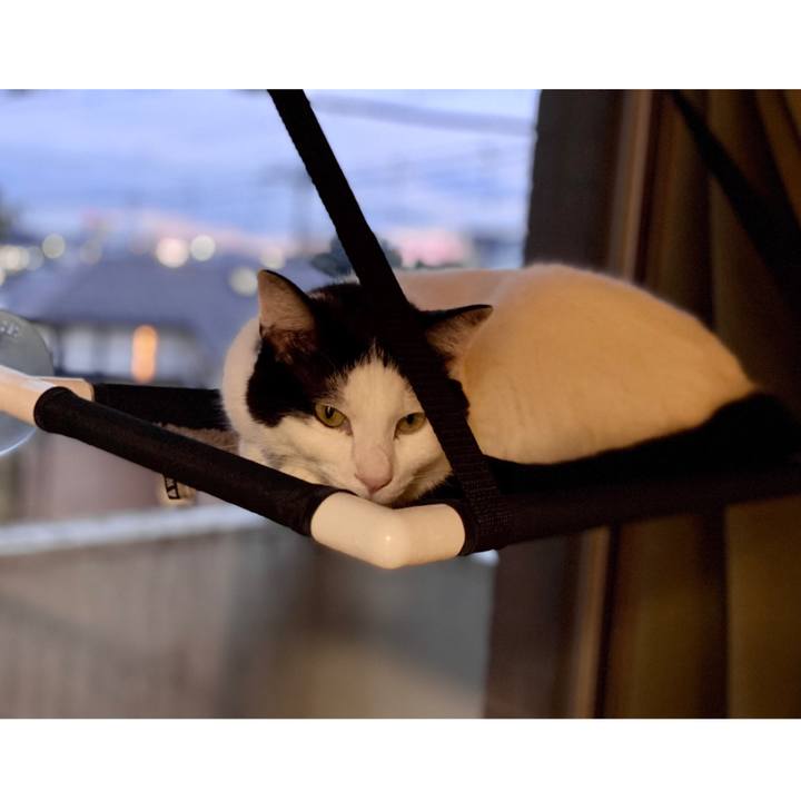 D6153560 7d1a 4e31 a9f9 9bba4d20bab5 1614599521910