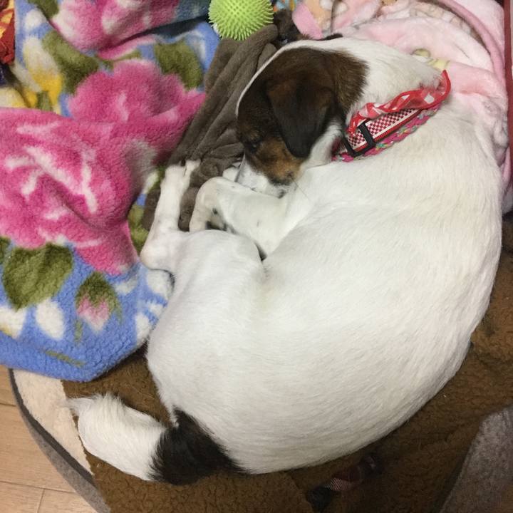 D6153fb8 f837 42d0 806d 057a7bab5510 1520067648475