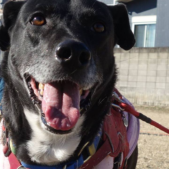 D6158373 90e2 43a5 b0c3 dc5a9f90e648 1677375165718