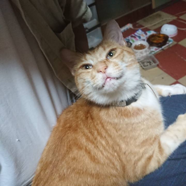 D615a6f7 6284 4f71 a5b1 371e94273e95 1594152067496