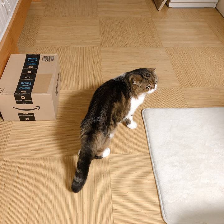 D615d2b9 82ab 4dc9 ba8b 857ce342f52d 1597593322570