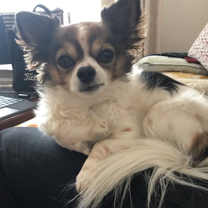 D615db3a 6cc2 4bcb a092 3f0278ccab7e 1552999927542