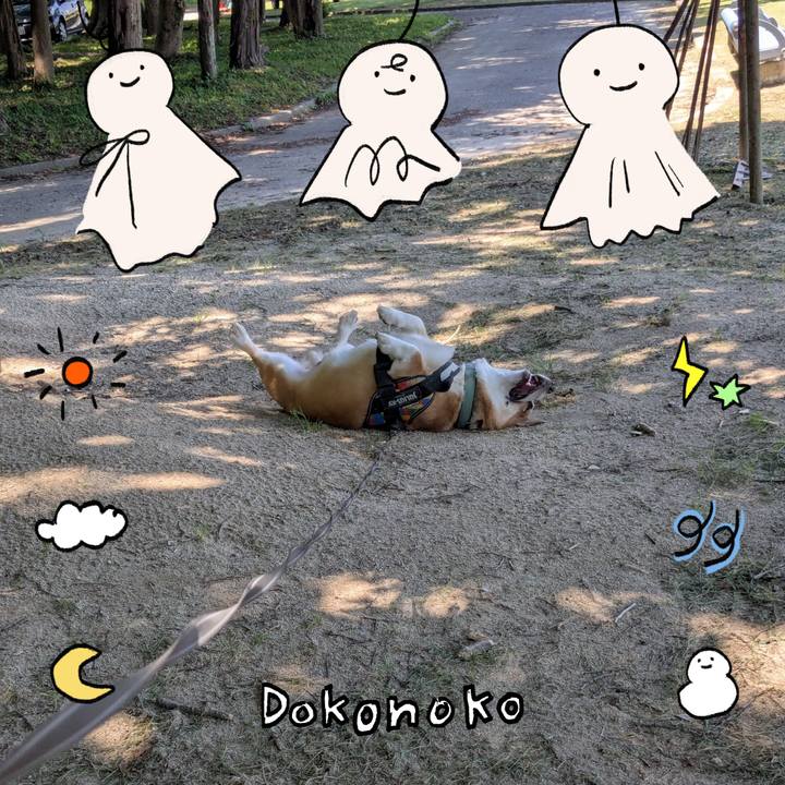 D615de53 741f 477d b0ea d7dbbf97d028 1749091726721