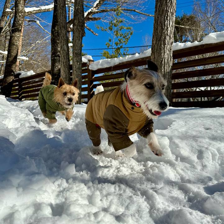 D615f51d dd3b 4d1b 8c62 03795584a6d6 1740134191338