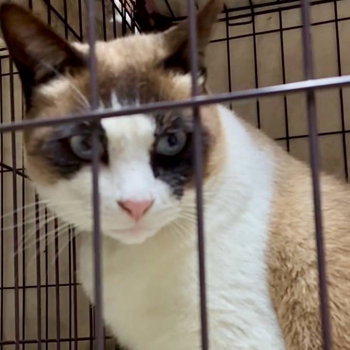 D6160680 b861 4508 b06a 36d1d9360bbc 1774187674200