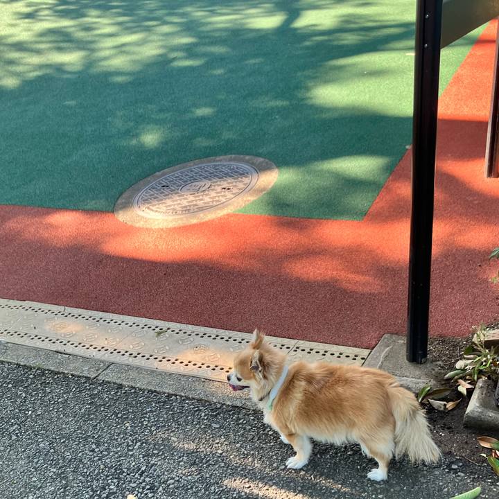 D6161048 c3da 47e5 a684 1eb680b78945 1755227341308