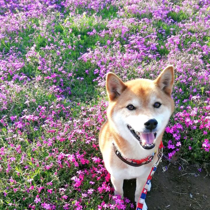 D616164d a687 4d80 9408 ceb6c28b30e3 1650617239881