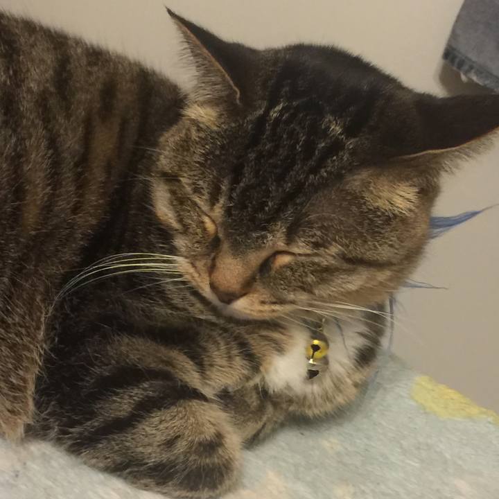 D6163b98 500e 431a 86f4 1195efdc4bf5 1547477220754