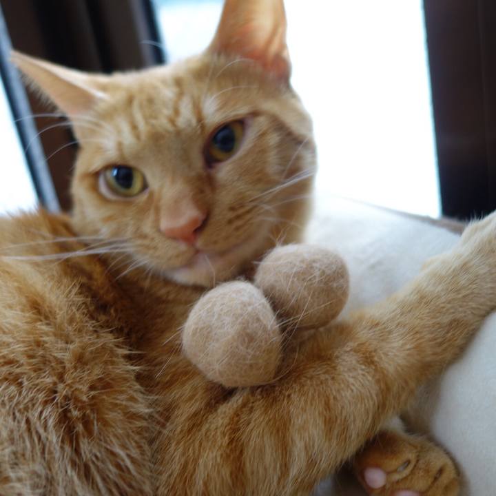 D6166245 704c 44ee b336 4e0ba5a0ade1 1591866812304