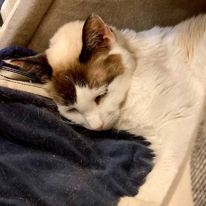 D616abca bb51 450a aafa cb6d15c028ed 1677936116218