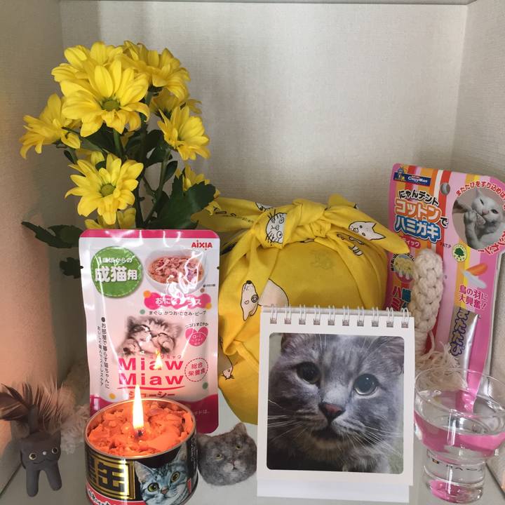 D616e40f 8ecc 4eb8 be1f eef604f97cec 1565677513886