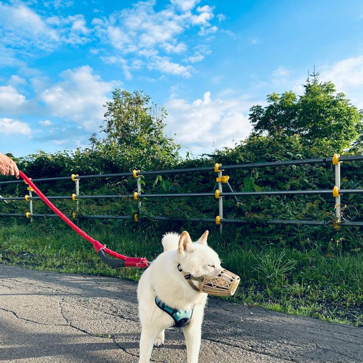 D616eb1c 0cb7 4b2d 883a ffe614db4d21 1722984403091